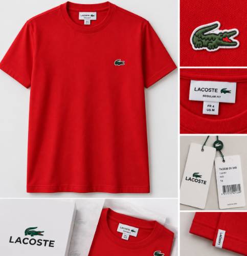 Camiseta LACOSTE Basica